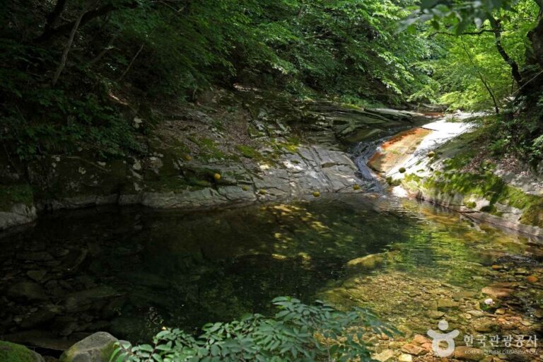 [忠清南道] 東鶴寺渓谷（동학사계곡）