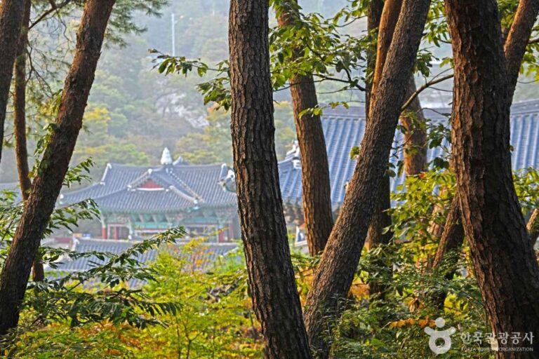[忠清南道] 麻谷寺天然松林浴場（마곡사 천연송림욕장）