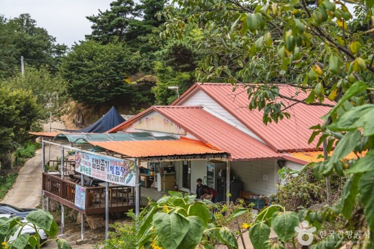[忠清南道] マルジェ農園（말재 농원）