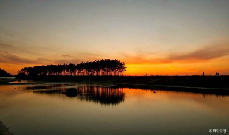 [忠清南道] 雲礖海辺（운여해변）