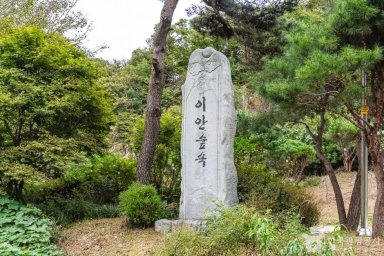 [忠清南道] E-AN FOREST（이안숲속）