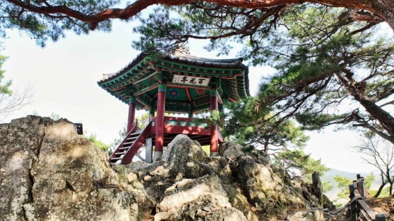 [忠清南道] 落花岩（낙화암）