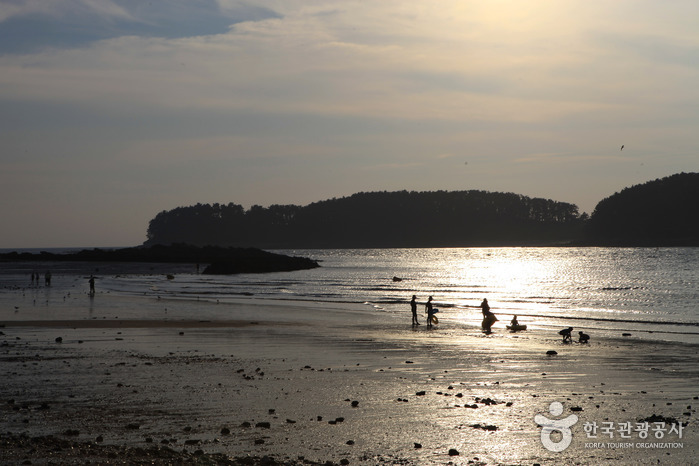 [忠清南道] 武昌浦海水浴場（무창포해수욕장）