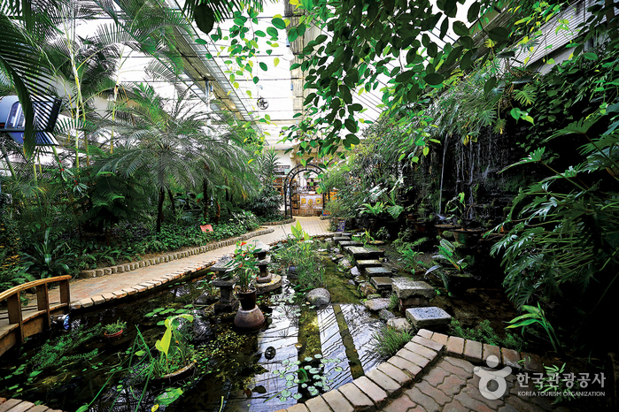 [忠清南道] ハヌルムルピッ庭園（하늘물빛정원）