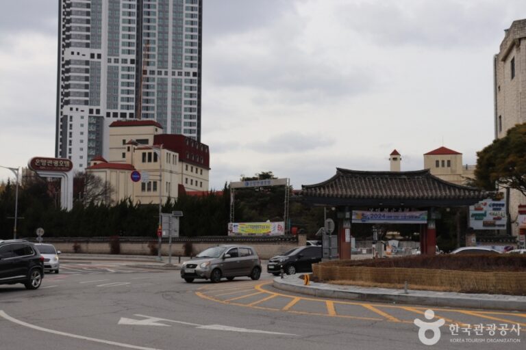 [忠清南道] 温陽温泉地区（온양온천지구）