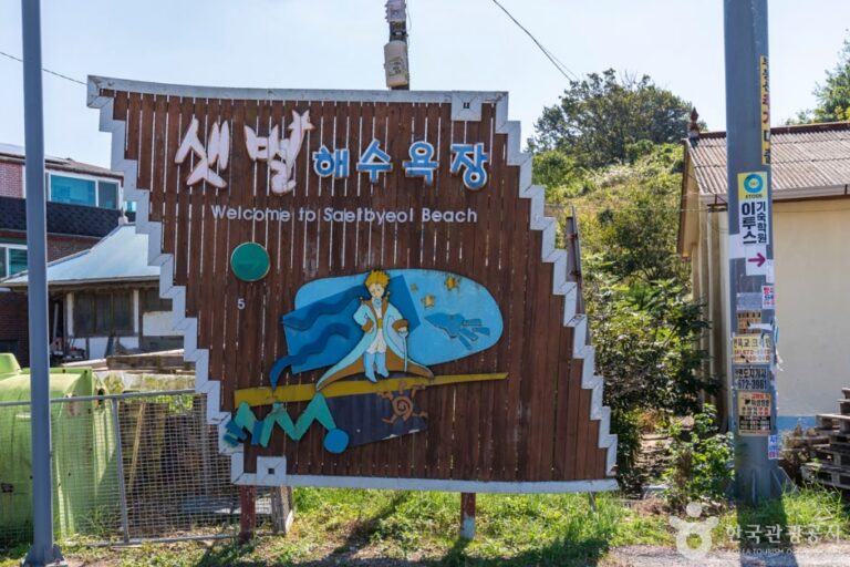 [忠清南道] セッピョル海水浴場（샛별해수욕장）