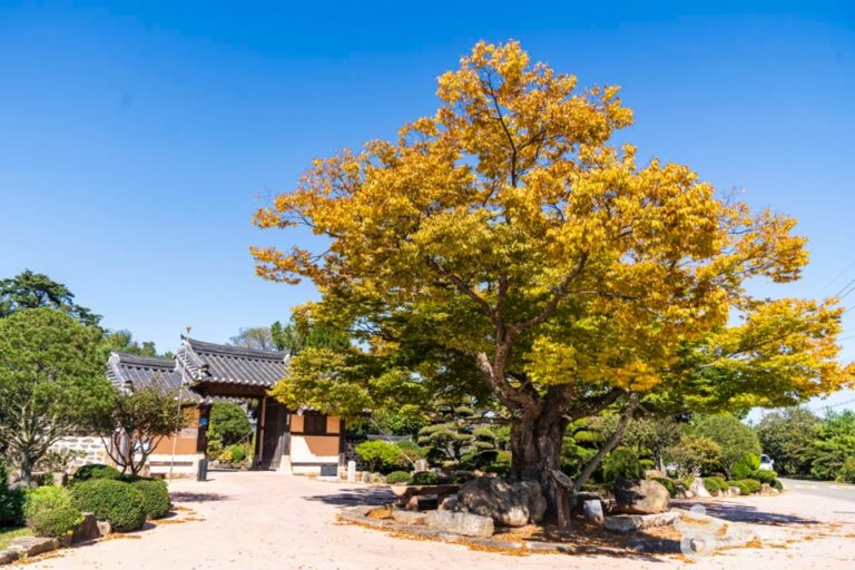 [忠清南道] 貞順王后生家（정순왕후생가）