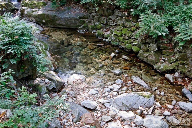 [忠清南道] 甲寺渓谷（갑사계곡）
