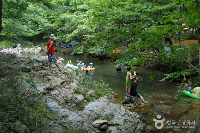 [忠清南道] 南二自然休養林（남이자연휴양림）
