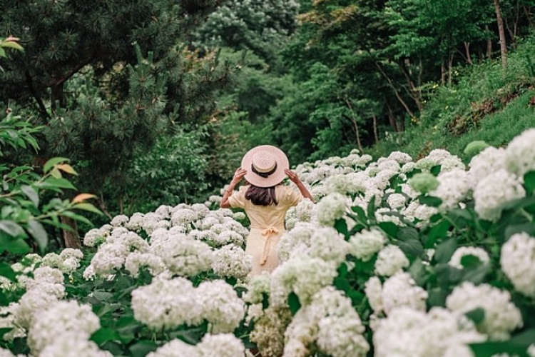 [忠清南道] 三仙山樹木園（삼선산수목원）