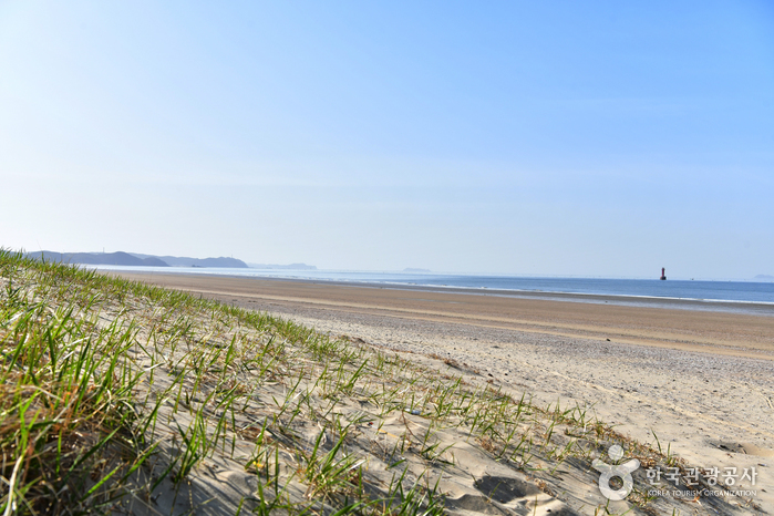 [忠清南道] 三峰海水浴場（삼봉해수욕장）