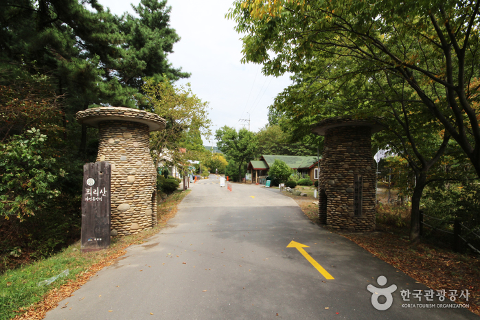 [忠清南道] 国立ヒリ山海松自然休養林（국립 희리산해송자연휴양림）