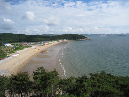[忠清南道] 蘭芝島海水浴場（난지섬해수욕장）