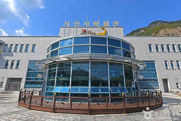 [忠清南道] 韓国自然史博物館（한국자연사박물관）