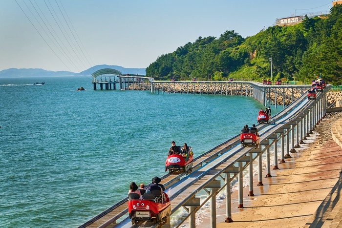 [忠清南道] ジップトラックコリア（대천 짚트랙）