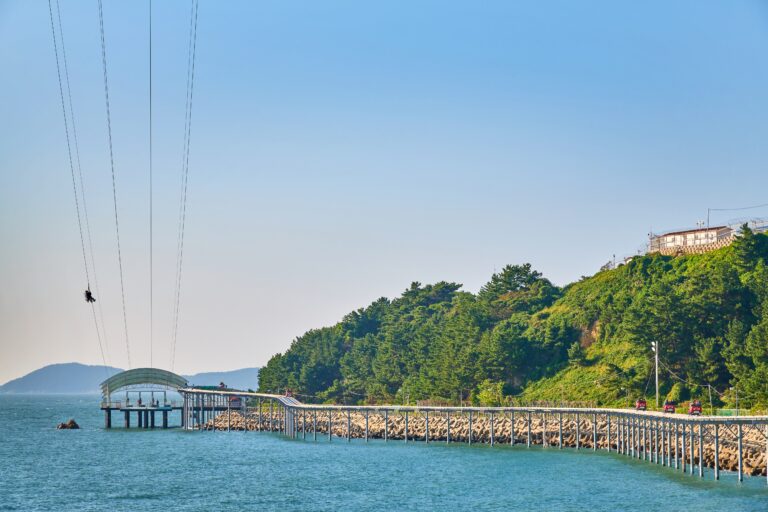 [忠清南道] ジップトレックコリア（짚트랙코리아）