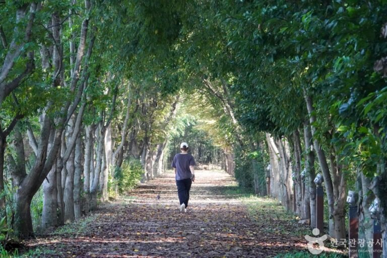 [慶尚北道] 慶北千年の森庭園（경북천년숲정원）