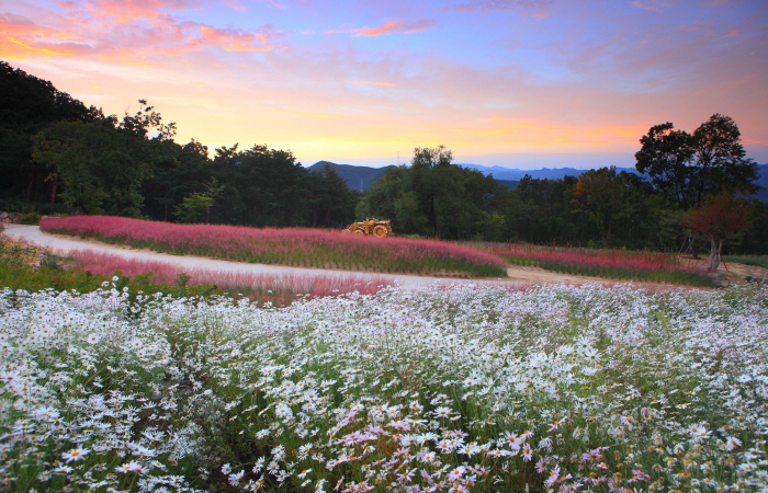 [慶尚北道] 架山スピア（가산수피아）