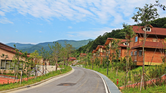 [慶尚北道] 国立山林治癒院 (국립산림치유원)