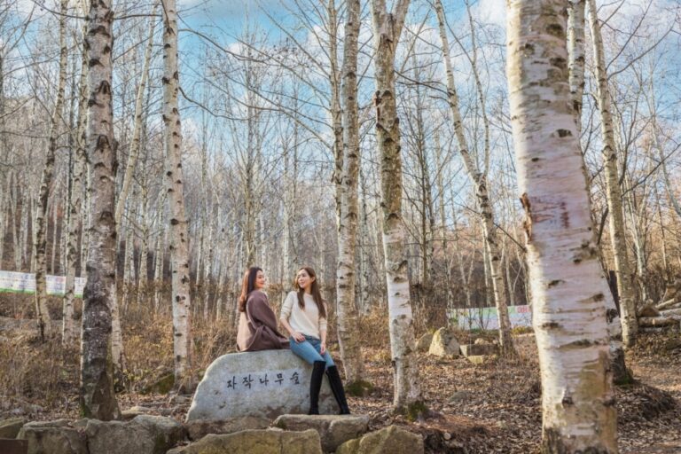 [慶尚北道] 国立キムチョン(金泉)癒しの森 (국립김천치유의숲)