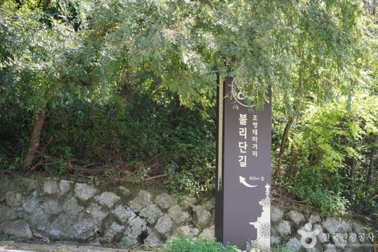 [慶尚北道] プルリダンギル（불리단길）