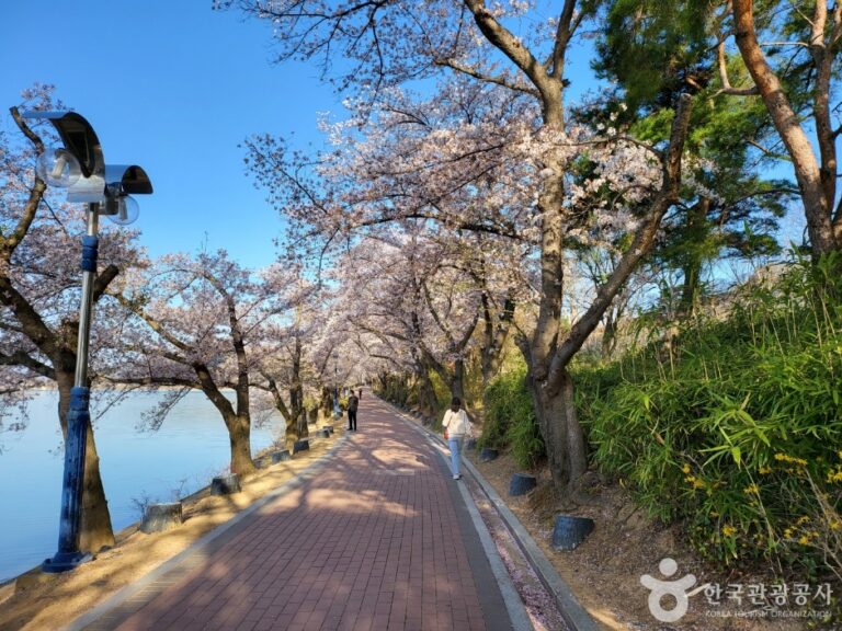 [慶尚北道] 普門湖（보문호）