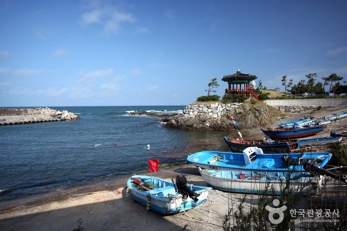[慶尚北道] ズワイガニ元祖 車踰漁村体験村（대게원조 차유어촌체험마을）