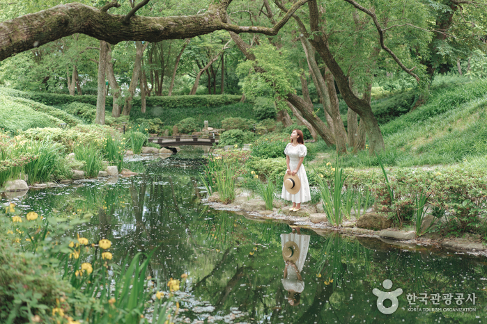 [慶尚北道] 慶州エキスポ大公園（경주엑스포대공원）