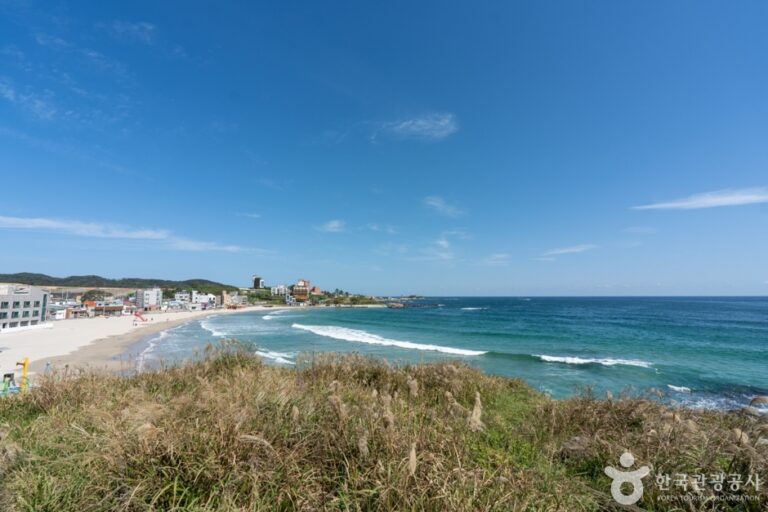 [慶尚北道] 九龍浦海水浴場（구룡포해수욕장）