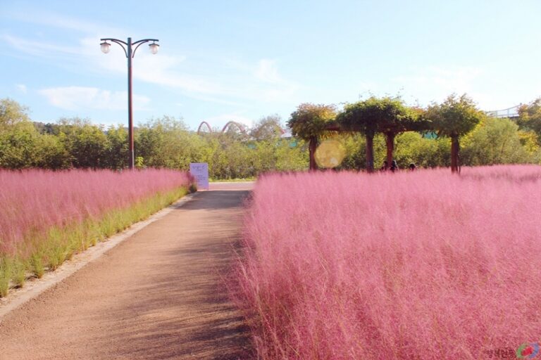 [慶尚北道] グラス園（그라스원）