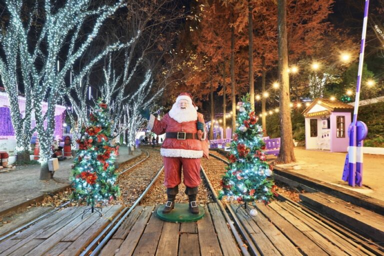 [慶尚北道] 清道プロバンス（청도 프로방스）