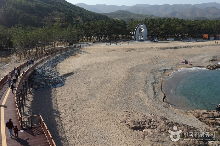 [慶尚北道] 長沙海水浴場（장사해수욕장）