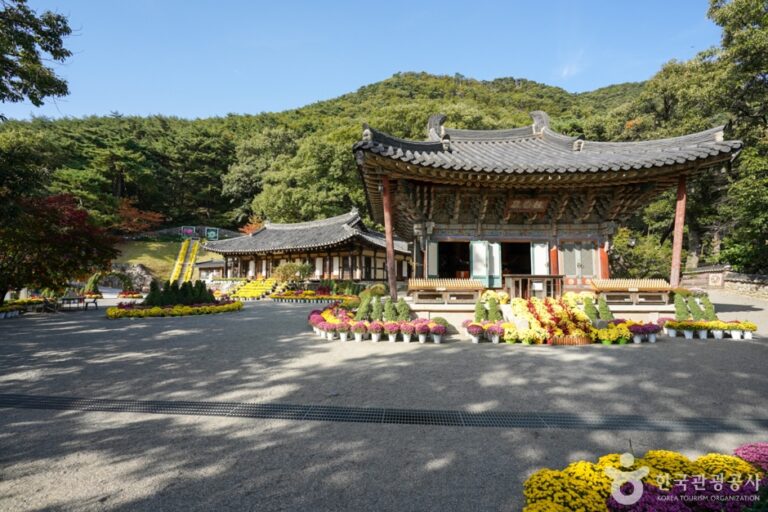 [慶尚北道] 桃李寺（亀尾）（도리사(구미)）
