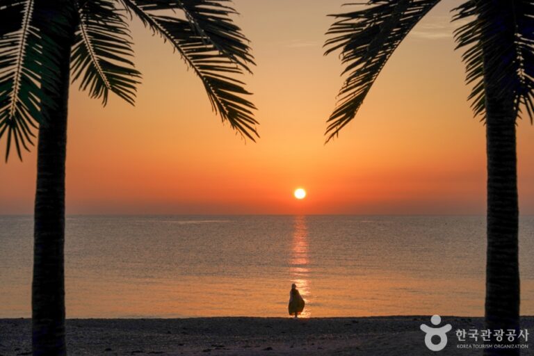 [慶尚北道] 五柳ゴアラ海辺（오류고아라해변）