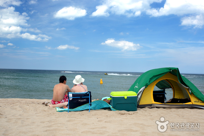 [慶尚北道] 大津海水浴場（대진해수욕장）