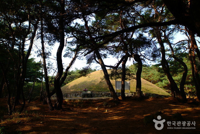 [慶尚北道] 慶州 善徳女王陵（경주 선덕여왕릉）