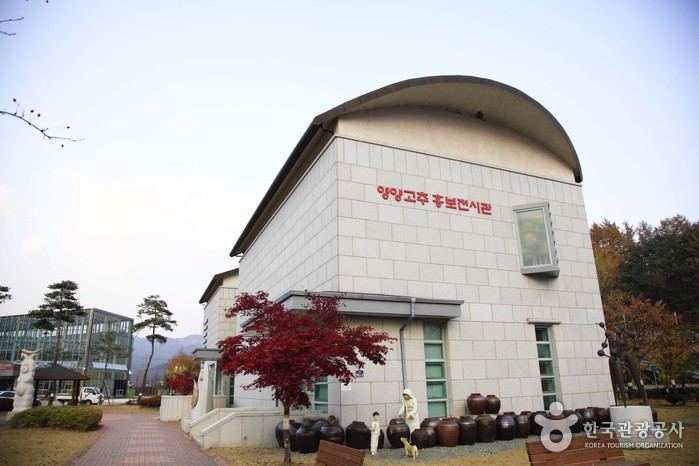 [慶尚北道] 英陽唐辛子広報展示館（영양고추홍보전시관）
