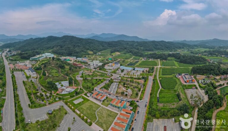 [慶尚北道] 蚕糸昆虫事業場（잠사곤충사업장）