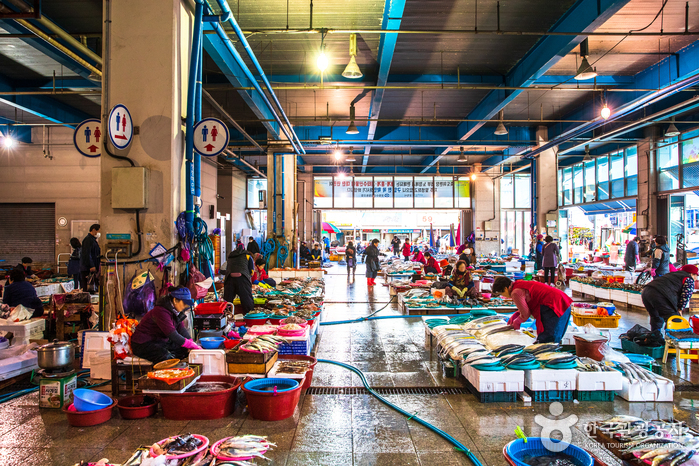 [慶尚北道] 浦項竹島市場（포항 죽도시장）