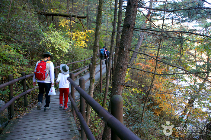 [慶尚南道] 伽倻山音の道（가야산 소리길）