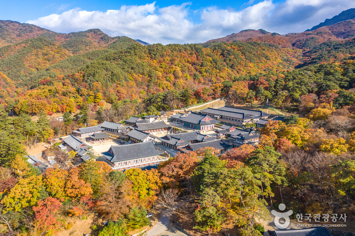[慶尚南道] 海印寺（陜川）（해인사（합천））