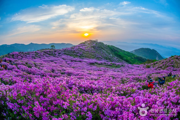 [慶尚南道] 黄梅山（山清）（황매산（산청））