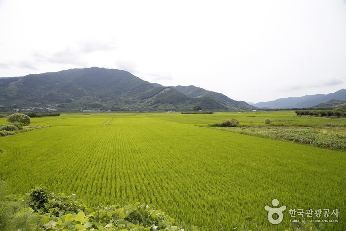 [慶尚南道] 平沙里平野（평사리들판）