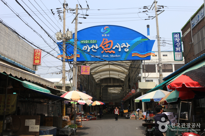 [慶尚南道] 馬山魚市場（마산어시장）