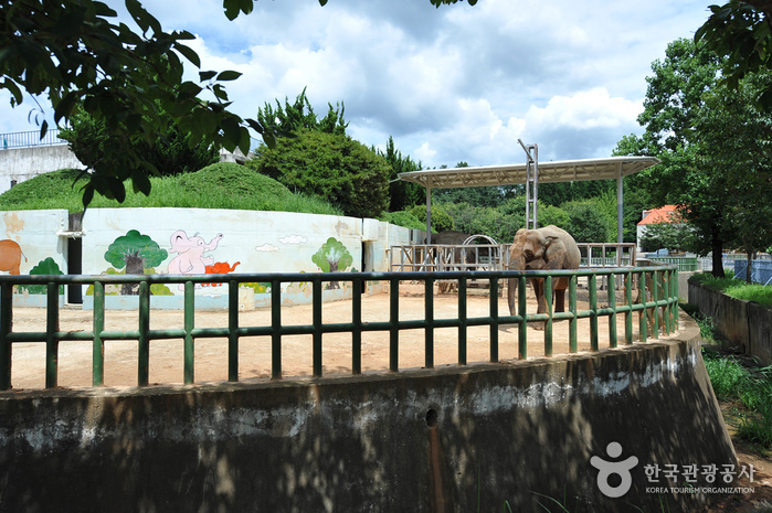 [全北] 全州動物園（전주동물원）