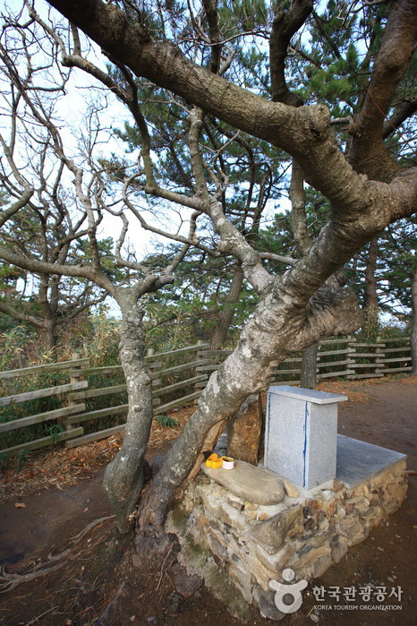 [全北] スソン堂（수성당）