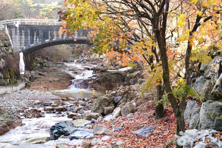 [全北] 東上雲長山溪谷（동상운장산계곡）