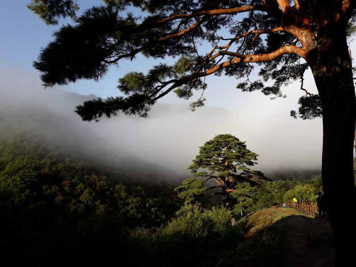 [全北] ペムサゴル臥雲村（뱀사골 와운마을）