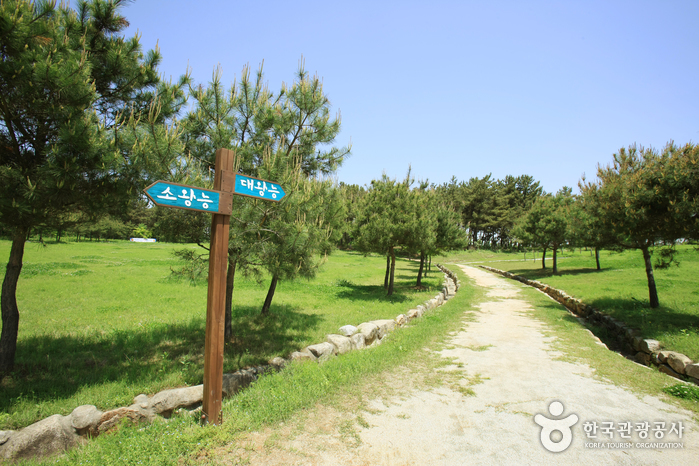 [全北] 益山双陵（익산 쌍릉）