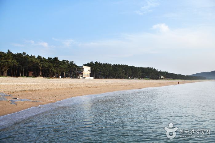 [全北] 故沙浦海水浴場（고사포해수욕장）